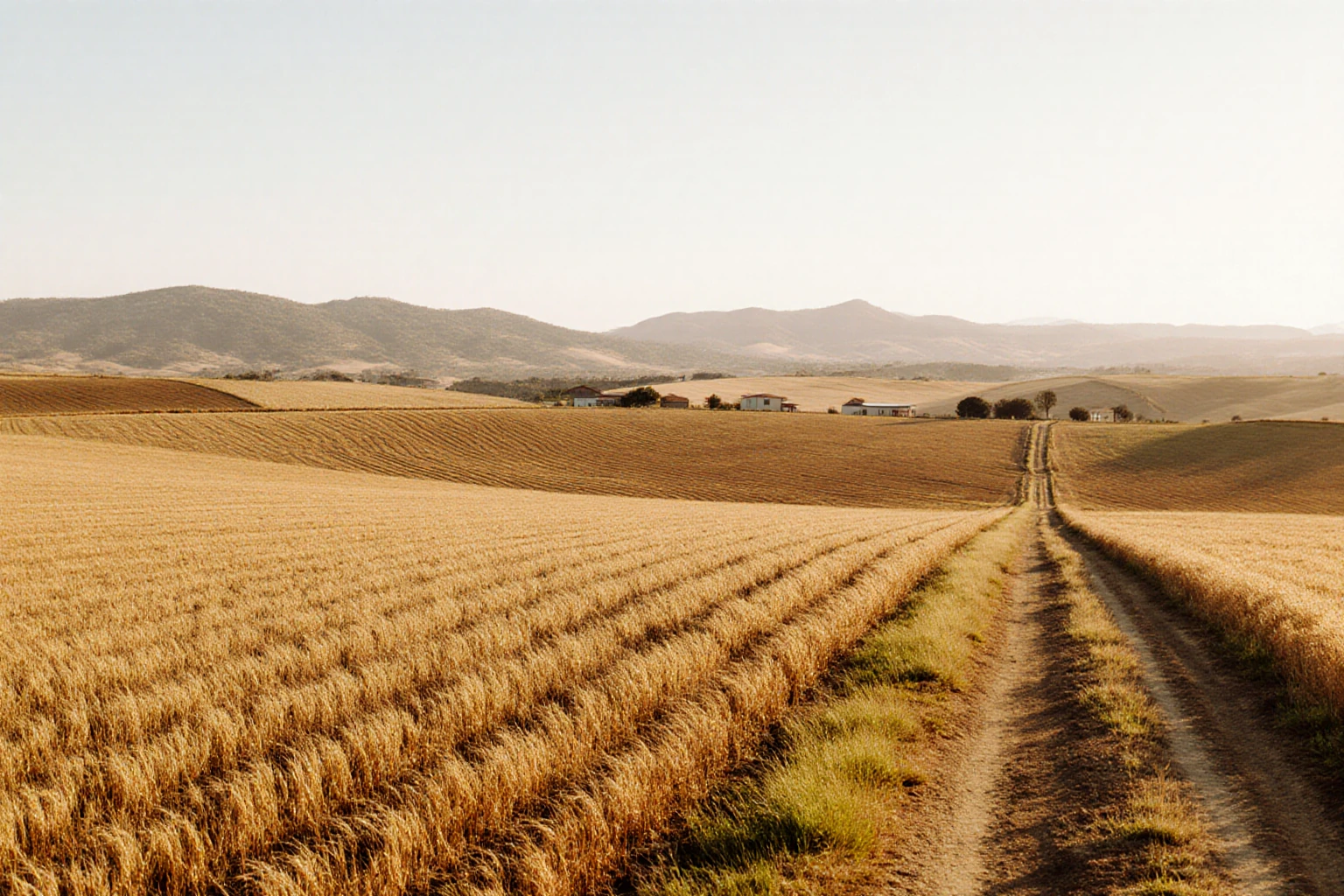Broad cultivated Spanish fields